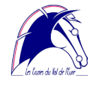 ECURIES DU VAL DE L EURE logo