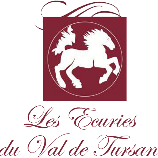 ECURIES DU VAL DE TURSAN logo