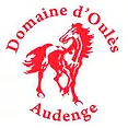 Logo de la structure DOMAINE D OULES