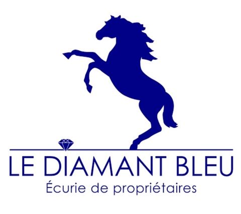 Ecurie Le Diamant Bleu  logo
