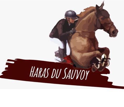 HARAS DU SAUVOY logo