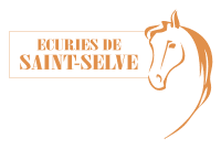 ECURIES DE ST SELVE logo
