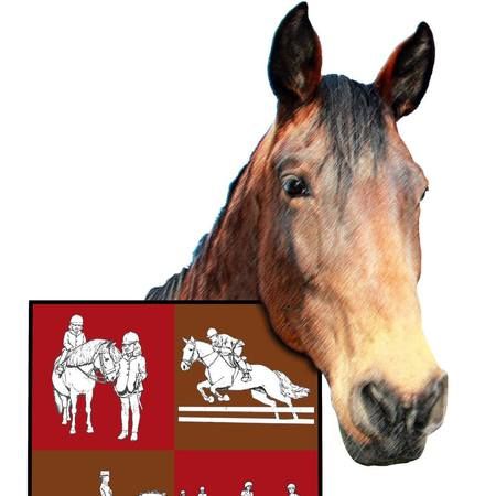 CENTRE EQUESTRE LE CLOS D' HERINE logo