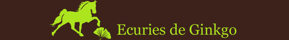 ECURIES DE GINKGO logo