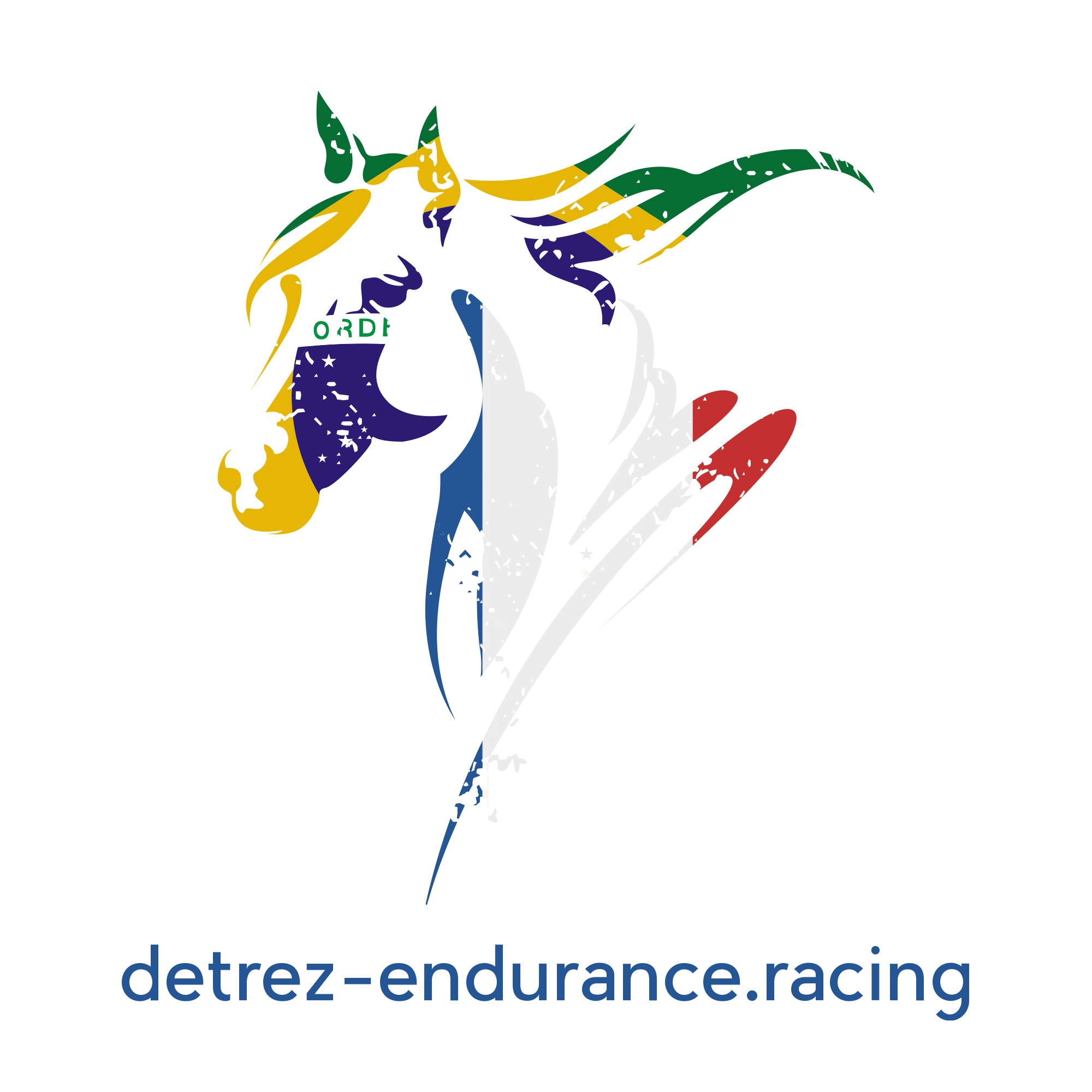 detrez-endurance.racing logo