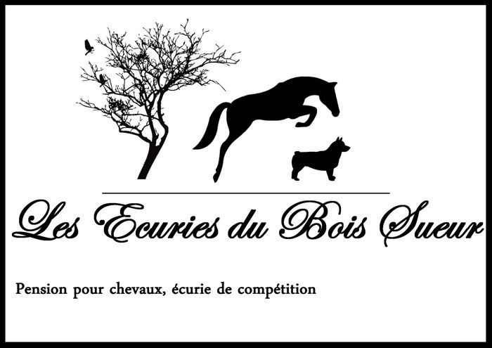 LES ECURIES DU BOIS SUEUR logo