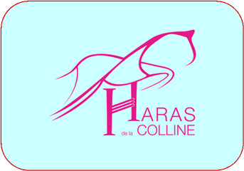 HARAS DE LA COLLINE logo