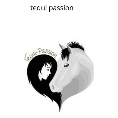 Centre équestre Tequi-Passion logo
