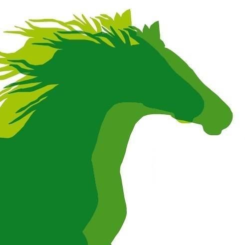 ASSOCIATION CHEVAL NATURE DU SUD MANCHE logo