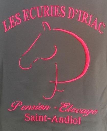 Logo de la structure LES ECURIES D'IRIAC