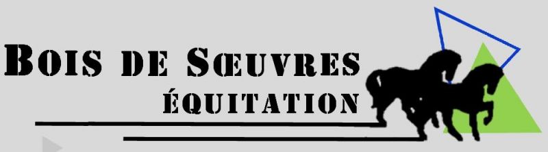 CENTRE EQUESTRE DU BOIS DE SOEUVRES logo