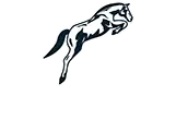 ECURIE ELEVAGE DE BOYER logo