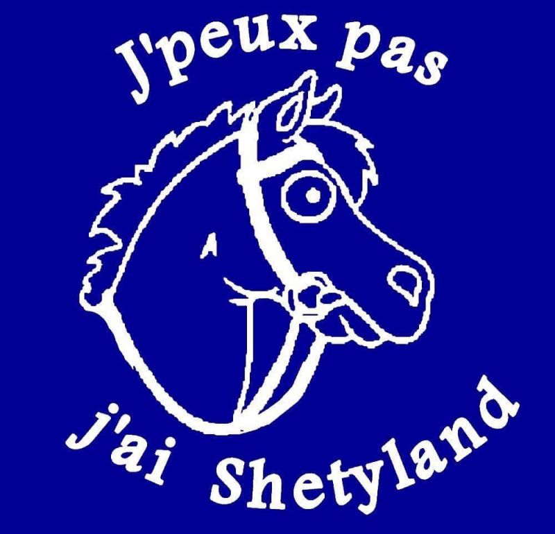 FERME EQUESTRE DU SHETYLAND logo