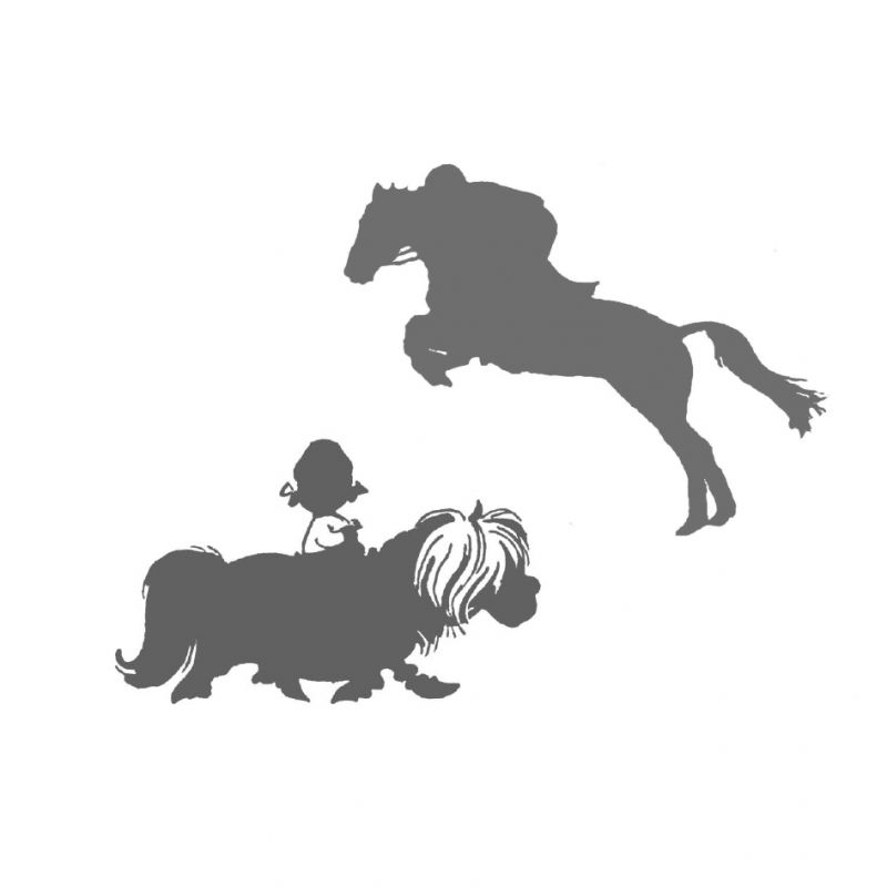 CENTRE EQUESTRE DE PLUVIGNER logo