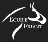 ECURIE FRIANT logo