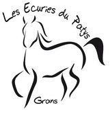 LES ECURIES DU PATYS logo