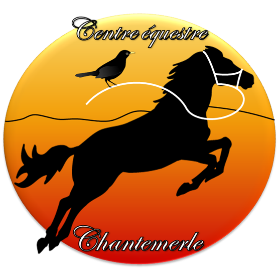  PONEY CLUB DE CHANTEMERLE logo