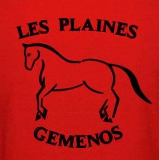 CENTRE EQUESTRE DES PLAINES logo