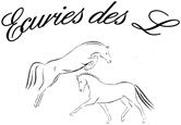 ECURIES DES L logo