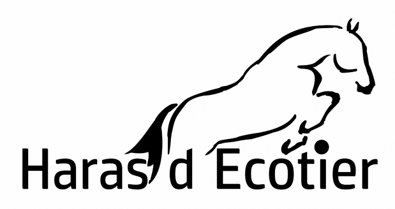 HARAS D' ECOTIER logo