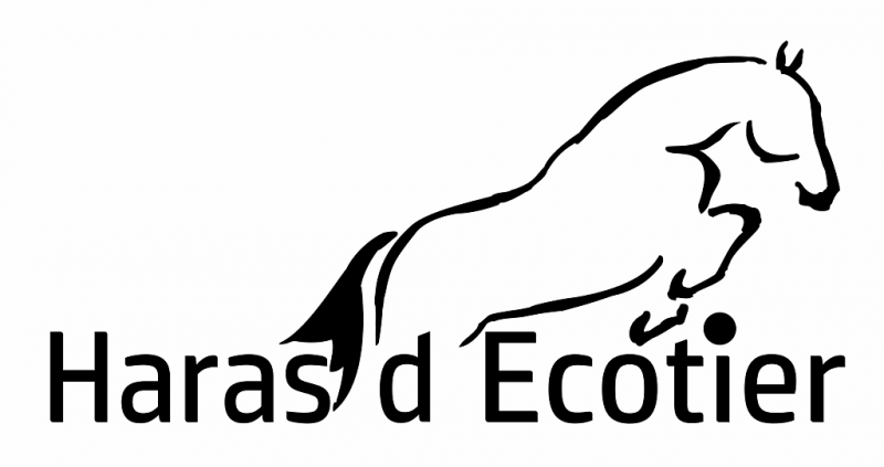 Logo de la structure HARAS D' ECOTIER