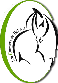 LES CHEVAUX DU BEL AIR logo