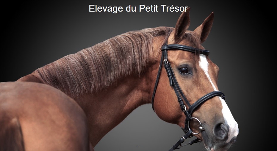 ELEVAGE DU PETIT TRESOR logo