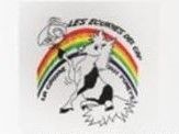 LA CABANE AUX PONEYS logo