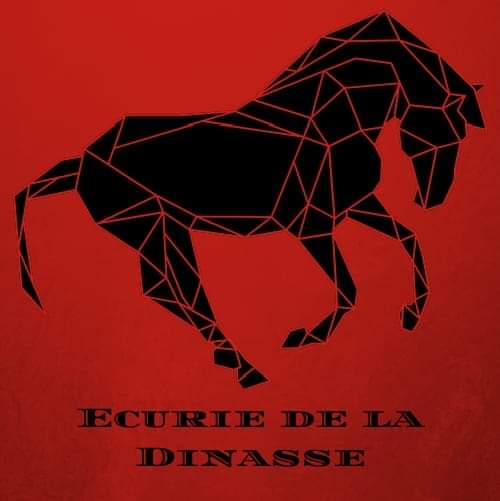 Logo de la structure Ecurie de la Dinasse