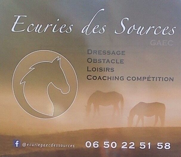 TEAM DES SOURCES logo