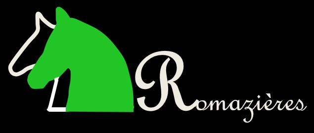 DOMAINE DE ROMAZIERES logo