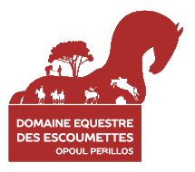 DOMAINE EQUESTRE DES ESCOUMETTES logo