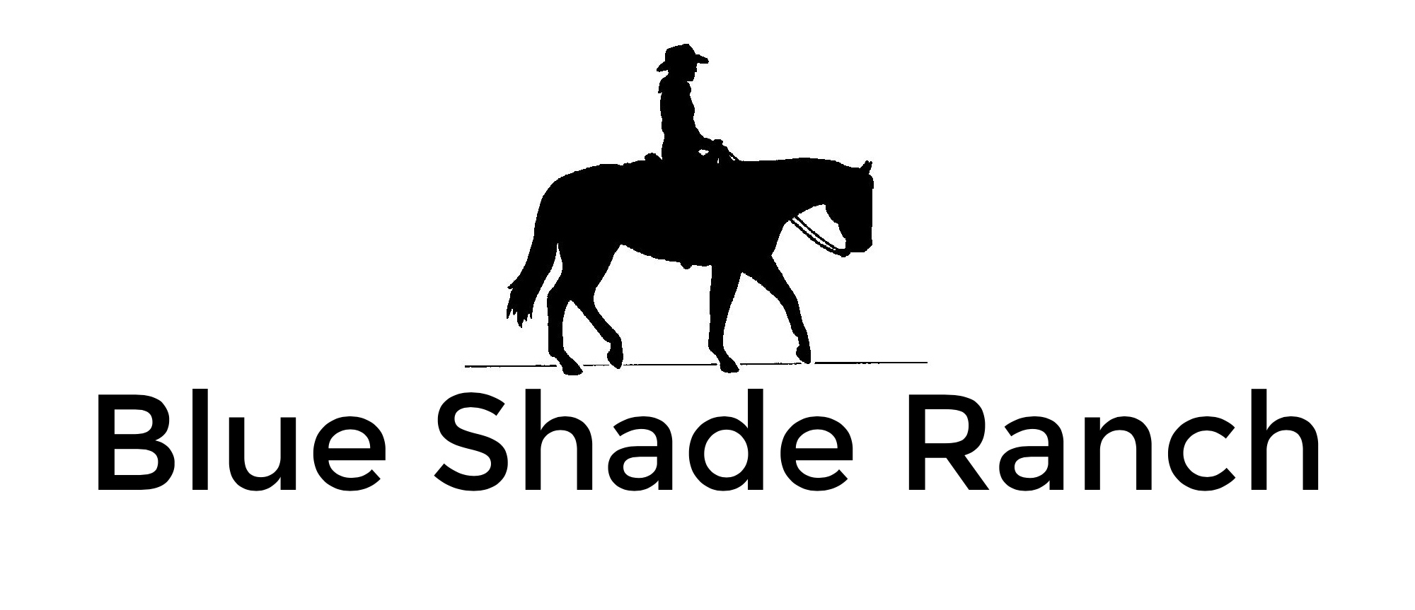 BLUE SHADE RANCH logo