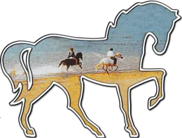 LES CHEVAUX DU VERDON logo