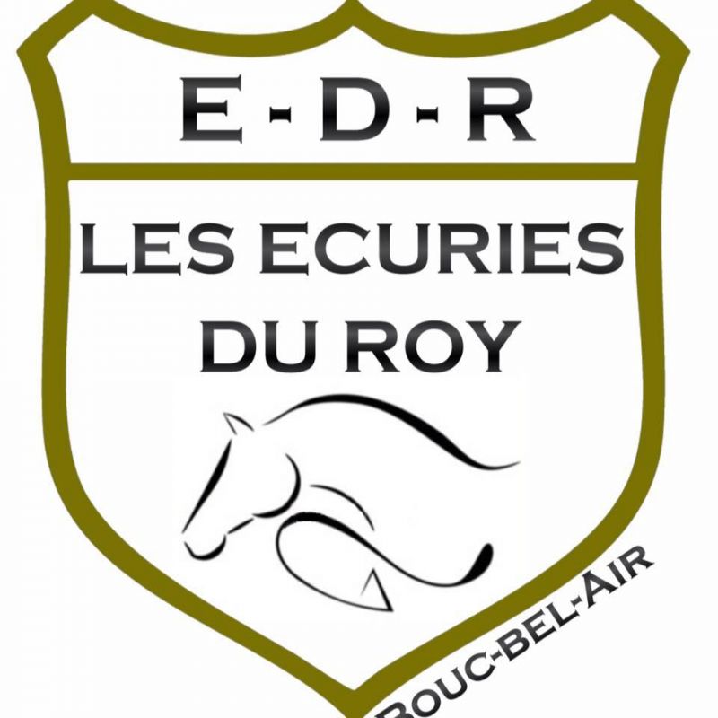 LES ECURIES DU ROY logo