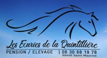 LES ECURIES DE LA QUINTILLIERE logo