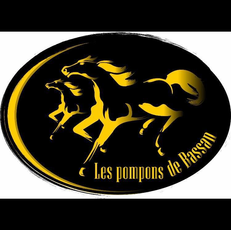 LES POMPONS DE BASSAN logo