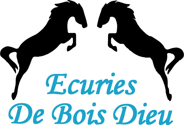 ECURIES DE BOIS DIEU logo