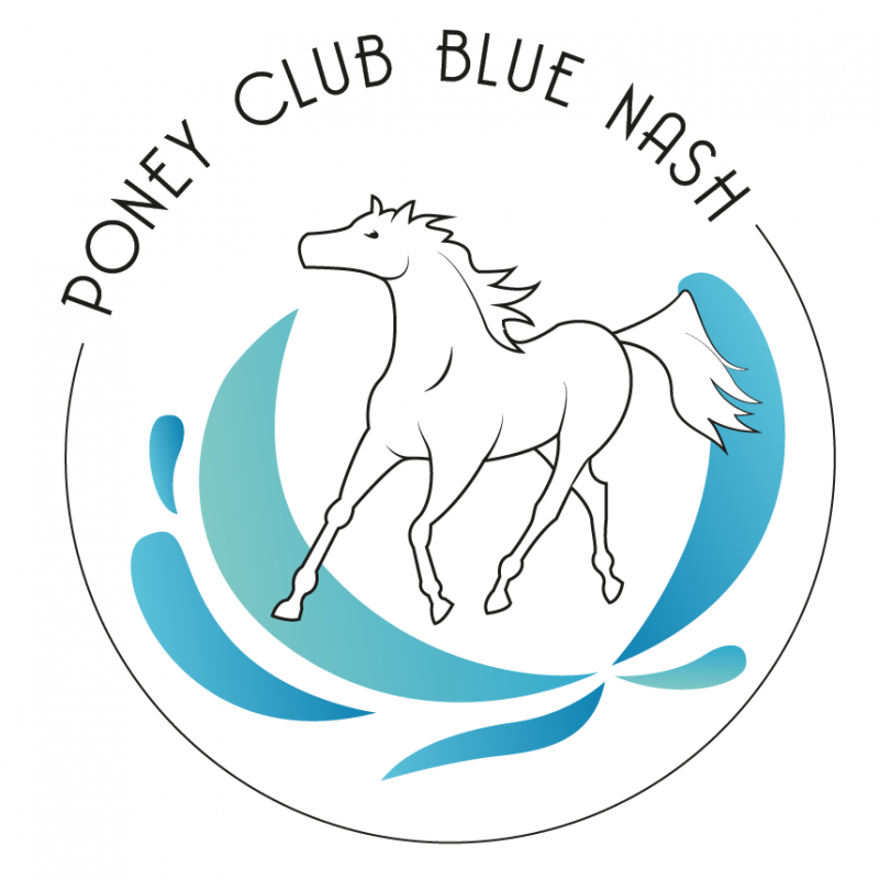 PONEY CLUB BLUE NASH logo