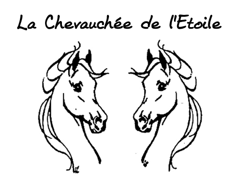 LA CHEVAUCHEE DE L' ETOILE logo