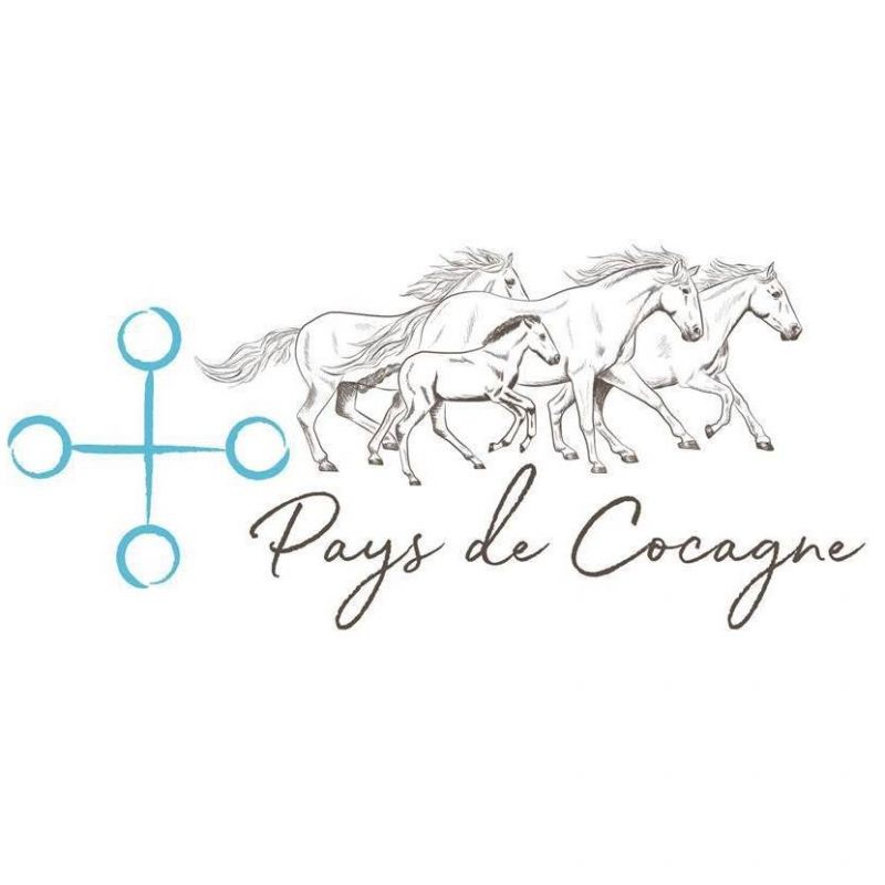 PAYS DE COCAGNE logo