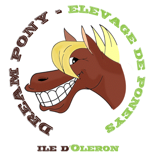 DREAM PONY logo