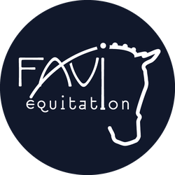  FAVI EQUITATION logo