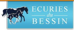 ECURIES DU BESSIN logo