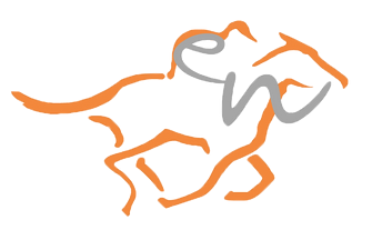 ECURIE NADOT  logo