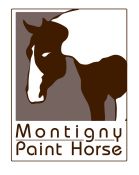 EARL FERME EQUESTRE DE MONTIGNY logo