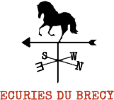 ECURIES DU BRECY logo