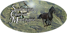 SOUBRANA CHEVAL MONTAGNE logo