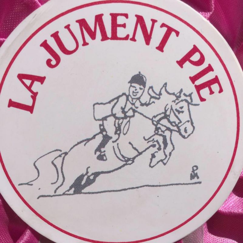 CENTRE EQUESTRE LA JUMENT PIE logo