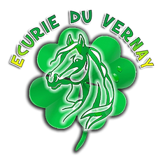 LES ECURIES DU VERNAY logo